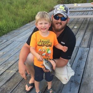 Meet your Posher, Donald